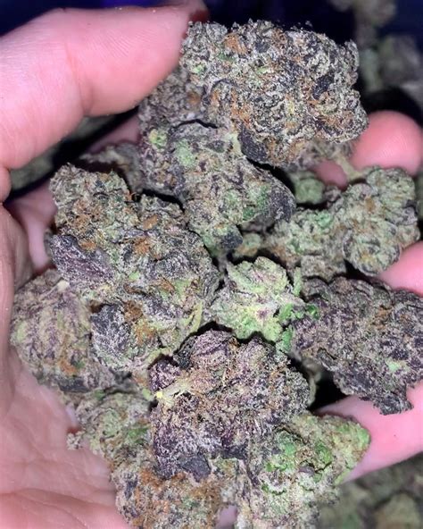 pink runtz strains